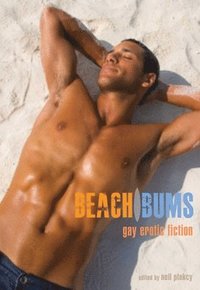 bokomslag Beach Bums: Gay Erotic Fiction