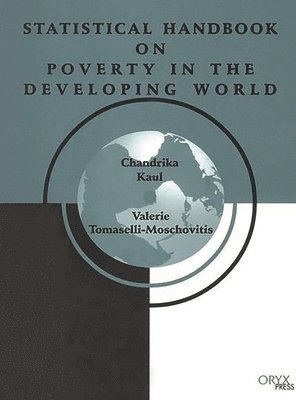 bokomslag Statistical Handbook on Poverty in the Developing World