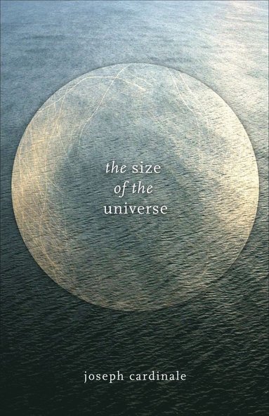 bokomslag Size of the Universe