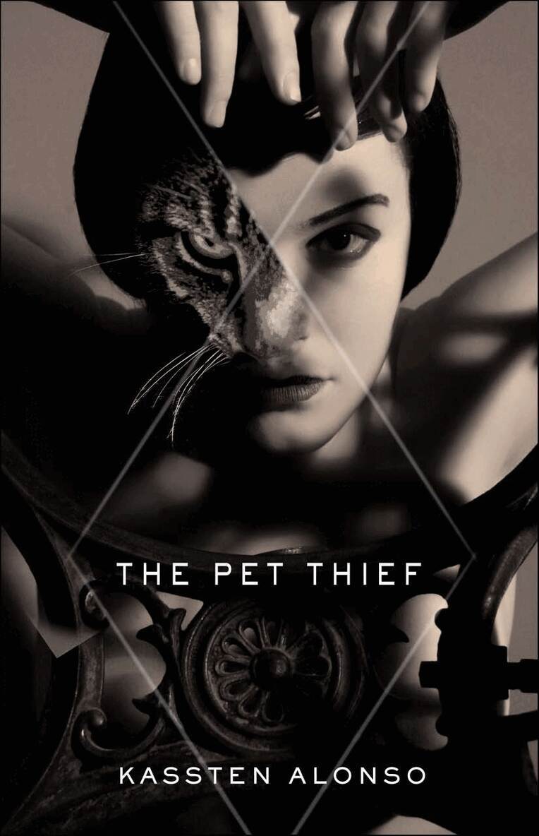 Kassten Alonso - Pet Thief, Häftad