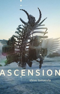 bokomslag Ascension