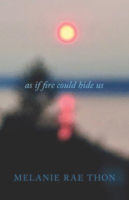 bokomslag As If Fire Could Hide Us