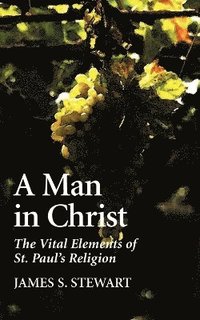 bokomslag A Man in Christ