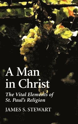 bokomslag Man in Christ