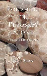 bokomslag Polishing the Petoskey Stone