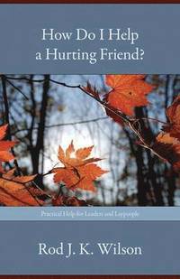 bokomslag How Do I Help a Hurting Friend?