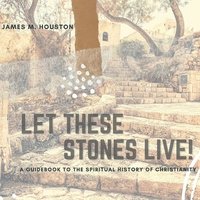 bokomslag Let These Stones Live