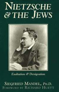 bokomslag Nietzsche & the Jews
