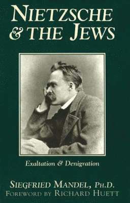 bokomslag Nietzsche & the Jews