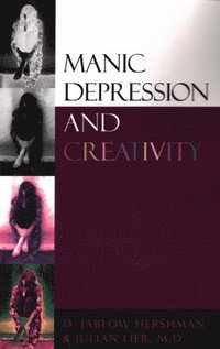bokomslag Manic Depression and Creativity