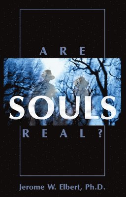 bokomslag Are Souls Real?