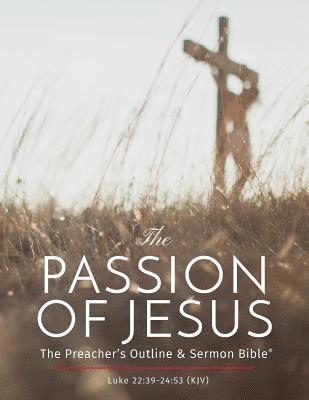 bokomslag Passion of Jesus