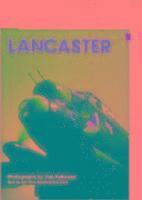 Lancaster: RAF Heavy Bomber 1