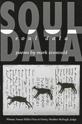bokomslag Soul Data