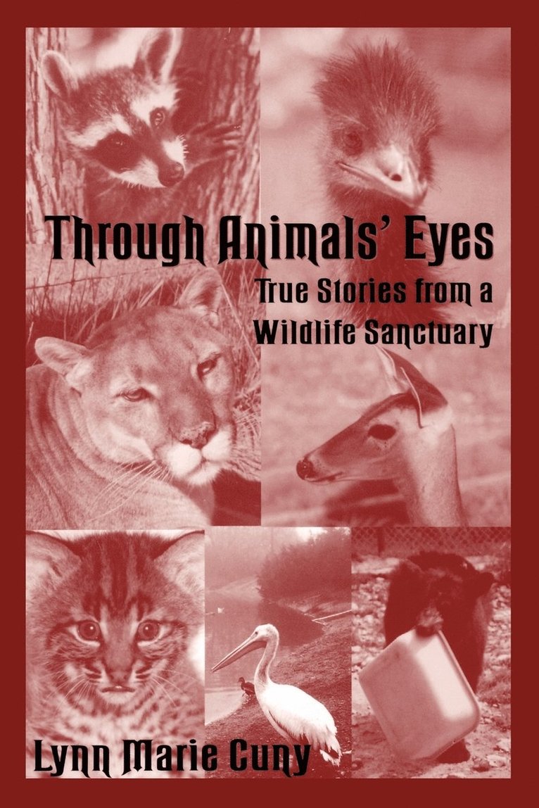 Through Animal's Eyes 1