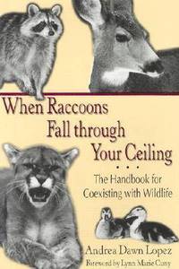 bokomslag When Raccoons Fall Through Your Ceiling