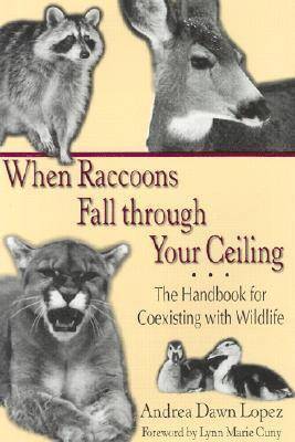 bokomslag When Raccoons Fall Through Your Ceiling