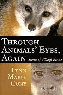 Through Animals' Eyes, Again 1