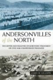 bokomslag Andersonvilles of the North