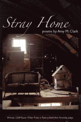 Stray Home 1