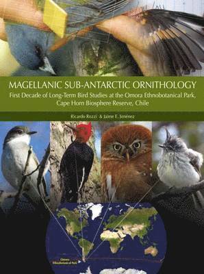 Magellanic Sub-Antarctic Ornithology 1