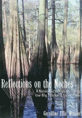 Reflections on the Neches 1