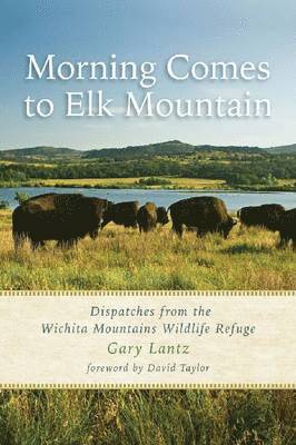 Morning Comes to Elk Mountain