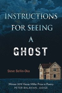 bokomslag Instructions for Seeing a Ghost