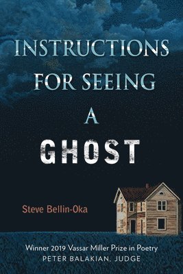 bokomslag Instructions for Seeing a Ghost