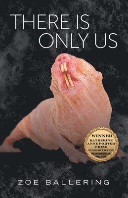 bokomslag There Is Only Us Volume 21