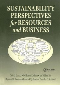 bokomslag Sustainability Perspectives for Resources and Business