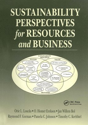 Sustainability Perspectives for Resources and Business 1