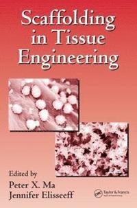 bokomslag Scaffolding In Tissue Engineering