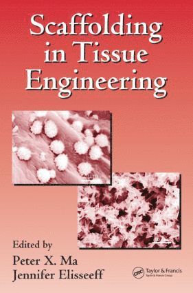 bokomslag Scaffolding In Tissue Engineering