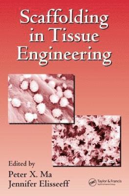 Scaffolding In Tissue Engineering 1