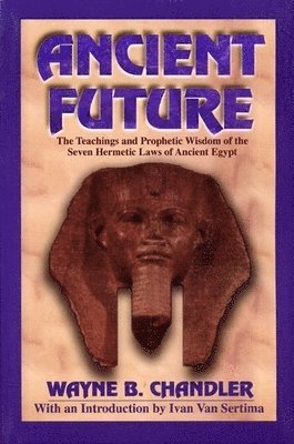 bokomslag Ancient Future