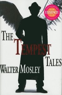 bokomslag The Tempest Tales