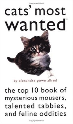 Cats' Most Wanted 1
