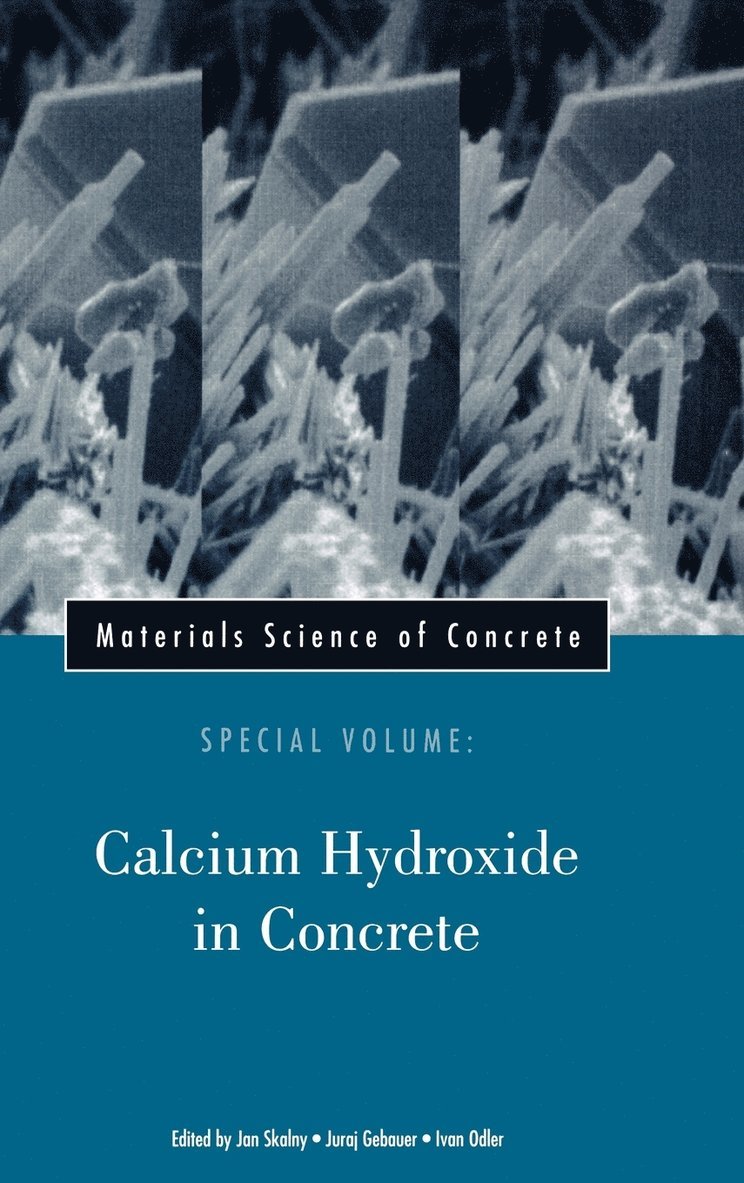 Materials Science of Concrete, Special Volume 1