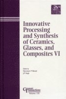bokomslag Innovative Processing and Synthesis of Ceramics, Glasses, and Composites VI