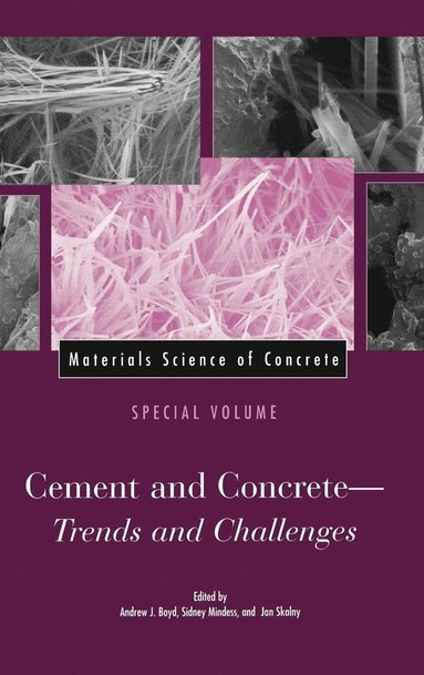 Boyd, Mindess, Andrew J. Boyd, Sidney Mindess, Jan P. Skalny - Materials Science of Concrete, Special Volume, Inbunden