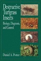 Destructive Turfgrass Insects 1