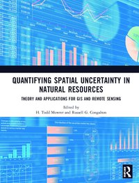 bokomslag Quantifying Spatial Uncertainty in Natural Resources