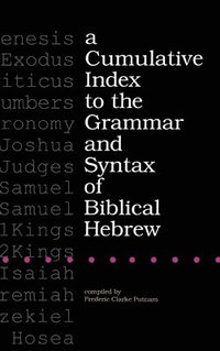 bokomslag Cumulative Index to the Grammar and Syntax of Biblical Hebrew
