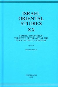 bokomslag Israel Oriental Studies, Volume 20