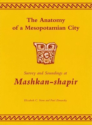 bokomslag The Anatomy of a Mesopotamian City