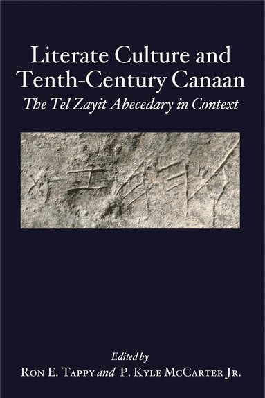 bokomslag Literate Culture and Tenth-Century Canaan