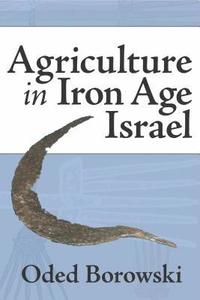 bokomslag Agriculture in Iron Age Israel