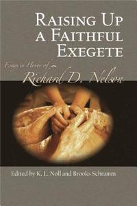 bokomslag Raising Up a Faithful Exegete