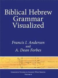 bokomslag Biblical Hebrew Grammar Visualized